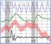 polygraph school